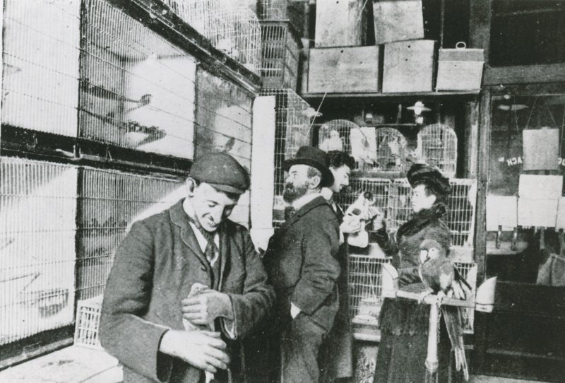 Haustierladen in der Great Portland Street von English Photographer