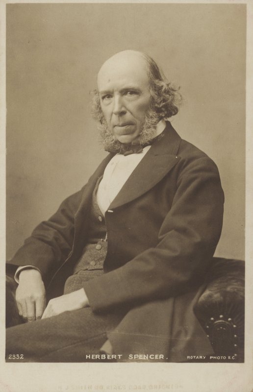 Herbert Spencer (1820-1903), englischer Philosoph, politischer Theoretiker, Biologe und Soziologe von English Photographer