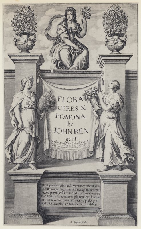 J. Rea, Flora, Ceres und Pomona, R. Marriott 1665 (s/w Foto) von English Photographer