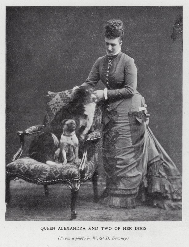 Königin Alexandra und zwei ihrer Hunde von English Photographer