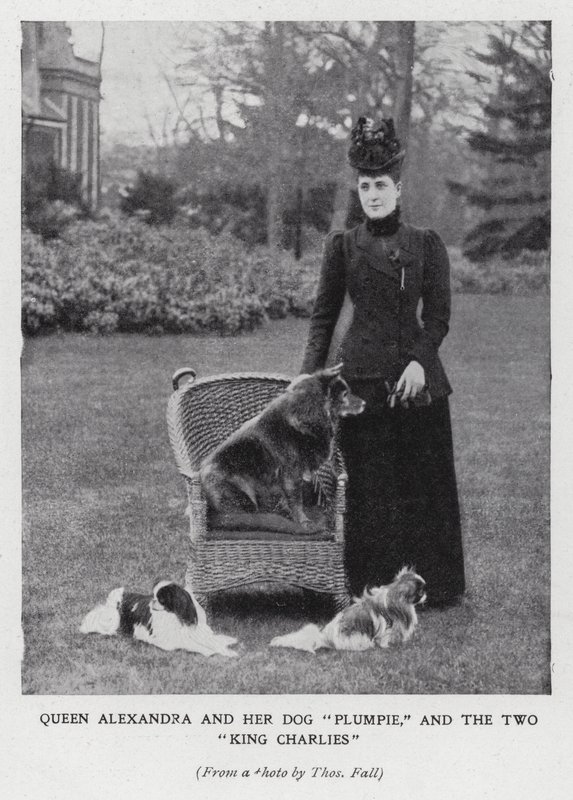 Königin Alexandra mit ihrem Hund Plumpie und ihren zwei King-Charles-Spaniels von English Photographer
