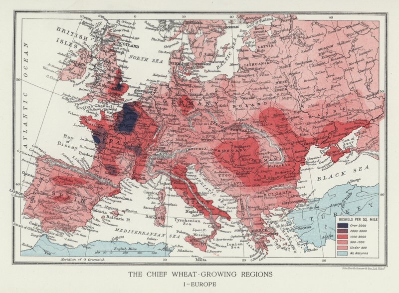 Die wichtigsten Weizenanbaugebiete, Europa von English Photographer