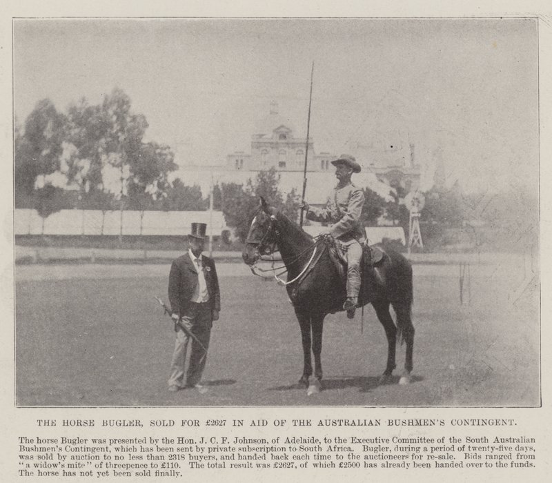 Der Pferdetrompeter, verkauft für £2627 zugunsten des australischen Buschmännerkontingents, Adelaide. Illustration für The Illustrated London News, 26. Mai 1900 von English Photographer