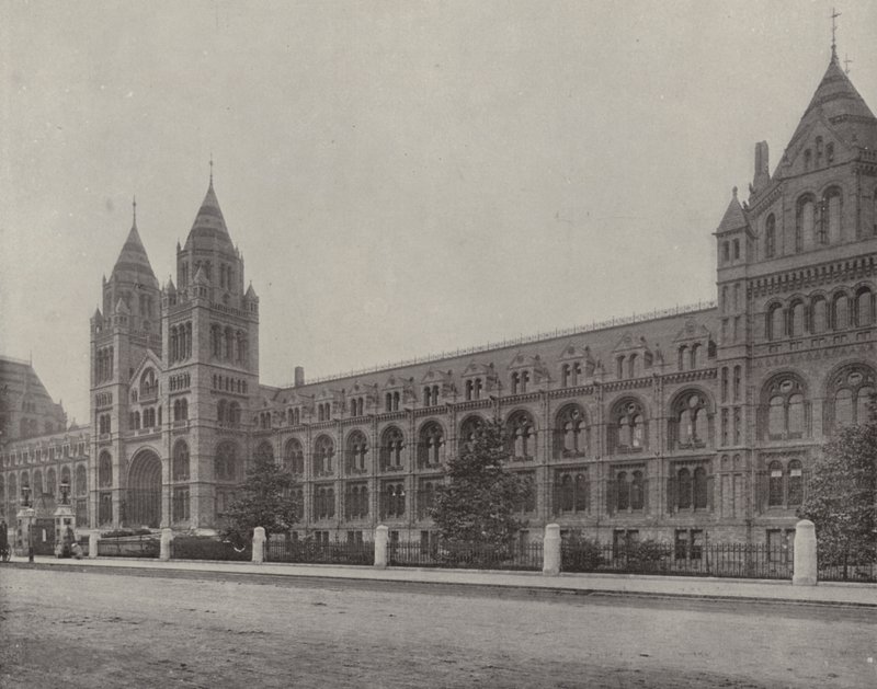 Das Naturhistorische Museum von English Photographer