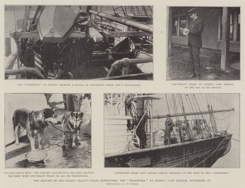 Die Rückkehr der Polarexpedition von Leutnant Peary, die Windward in Sydney, Cape Breton, 18. September von English Photographer
