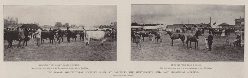 Die Ausstellung der Royal Agricultural Society in Carlisle, das vierundsechzigste und letzte Provinztreffen von English Photographer