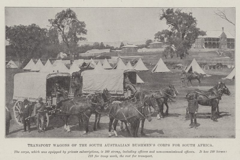 Transportwagen des South Australian Bushmens Corps für Südafrika von English Photographer