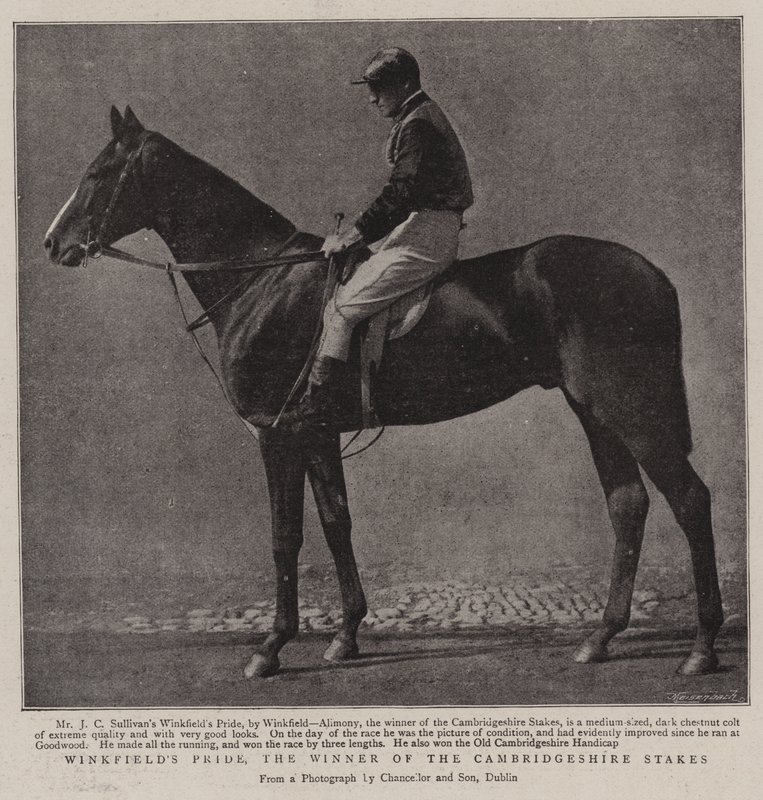 Winkfields Pride, der Gewinner der Cambridgeshire Stakes von English Photographer