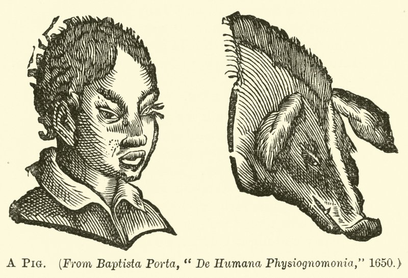 Ein Schwein von English School