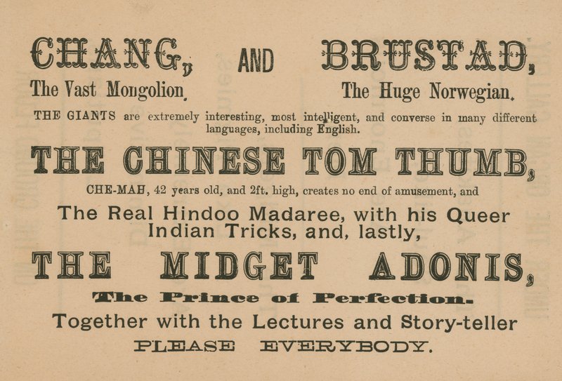 Werbung für Auftritte von Chang, Brustad, The Chinese Tom Thumb und The Midget Adonis von English School