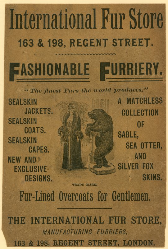 Anzeige für den International Fur Store, 163 & 198 Regent Street, London von English School