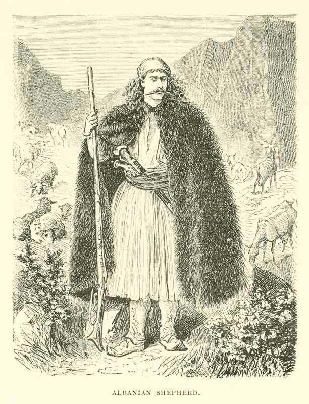 Albanischer Schäfer von English School