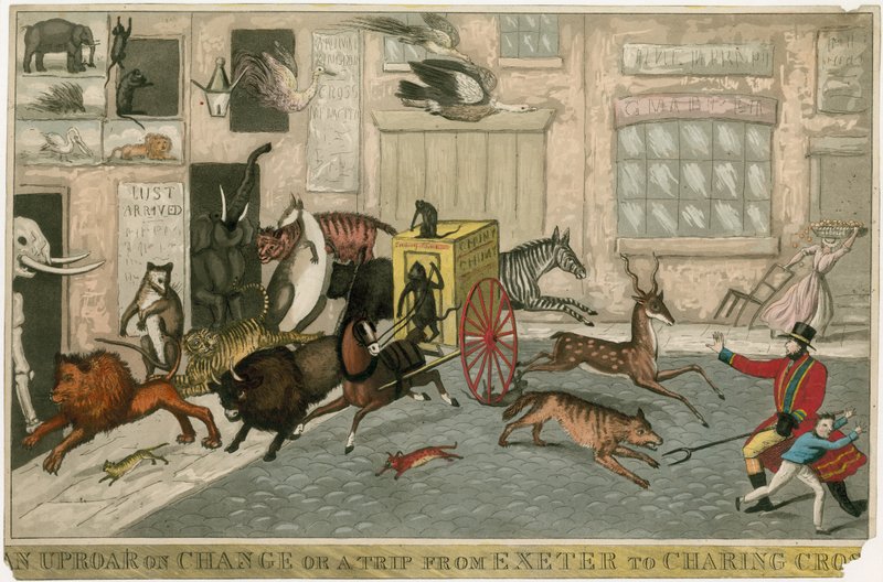 Ein Tumult auf Change oder eine Reise von Exeter nach Charing Cross von English School