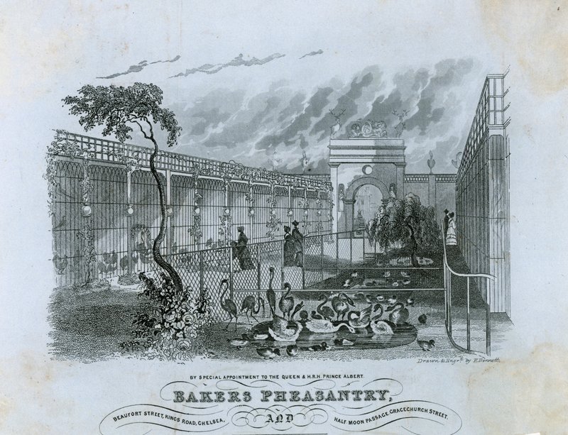 Bäckerei Pheasantry, Chelsea von English School