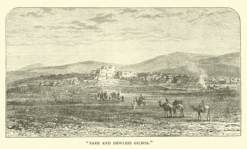 Kahles und tauarmes Gilboa von English School
