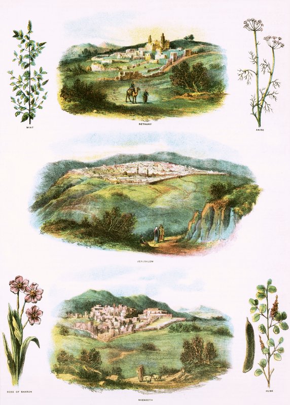 Biblische Illustrationen von English School