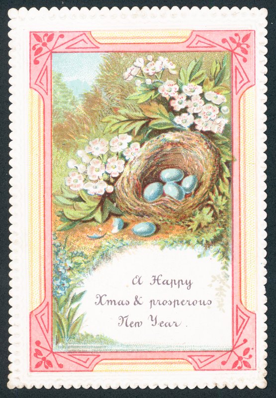 Vogelnest, Weihnachtskarte von English School