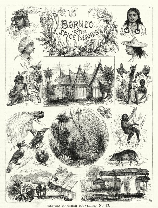 Borneo und die Gewürzinseln von English School