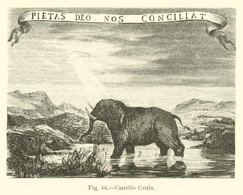 Camillo Caula von English School