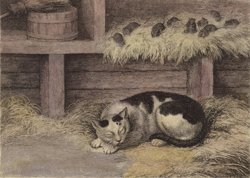 Katze und Mäuse in einer Scheune (getönter Stich) von English School