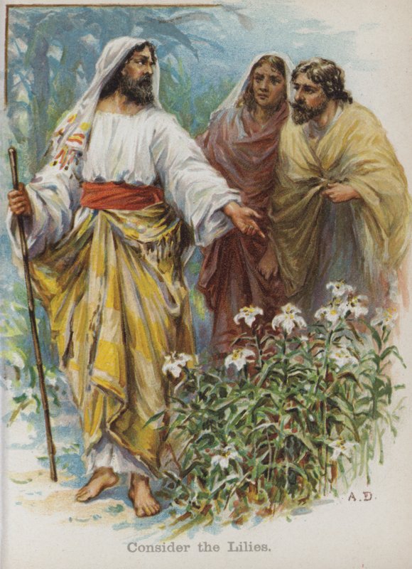 Betrachtet die Lilien (Chromolithografie) von English School