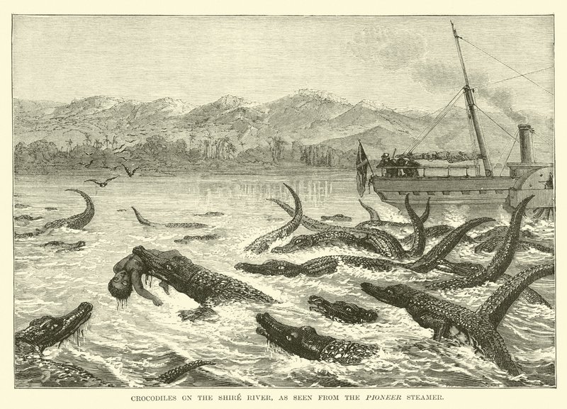 Krokodile am Shire-Fluss, gesehen vom Pionier-Dampfer von English School