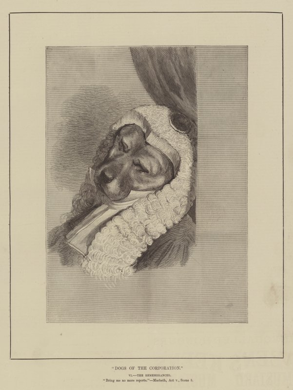 Hunde der Corporation von English School