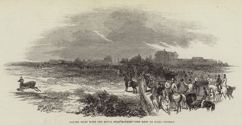Osterjagd mit den königlichen Hirschhunden, das Treffen in Stoke Common (Gravur) von English School