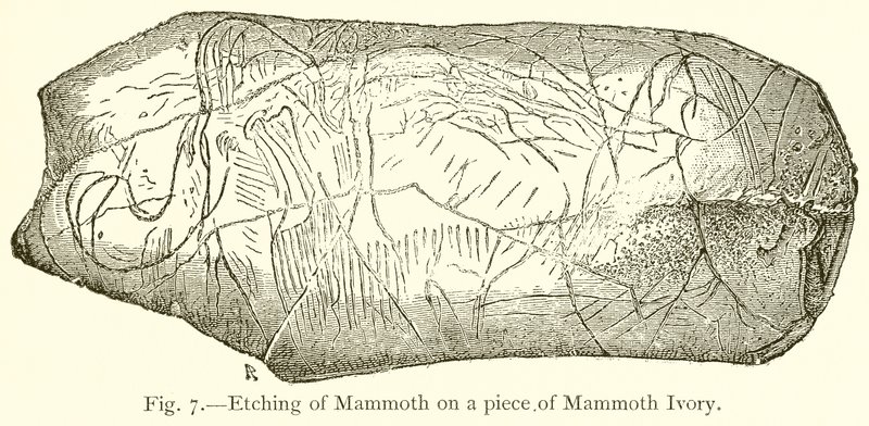 Radierung eines Mammuts auf einem Stück Mammut-Elfenbein von English School
