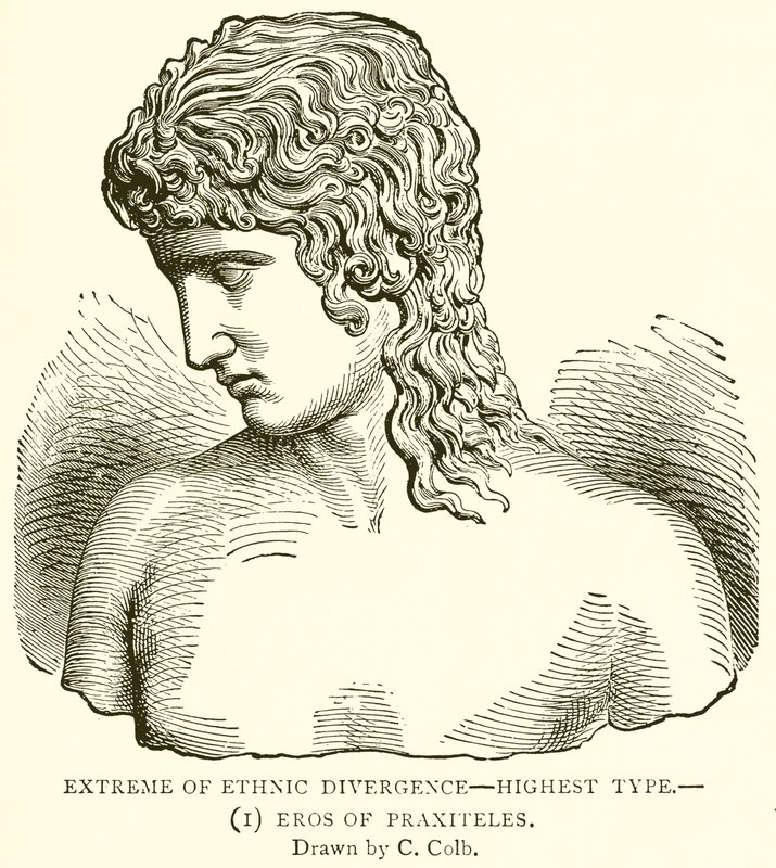 Extrem der ethnischen Divergenz—höchster Typus.—(1) Eros von Praxiteles von English School