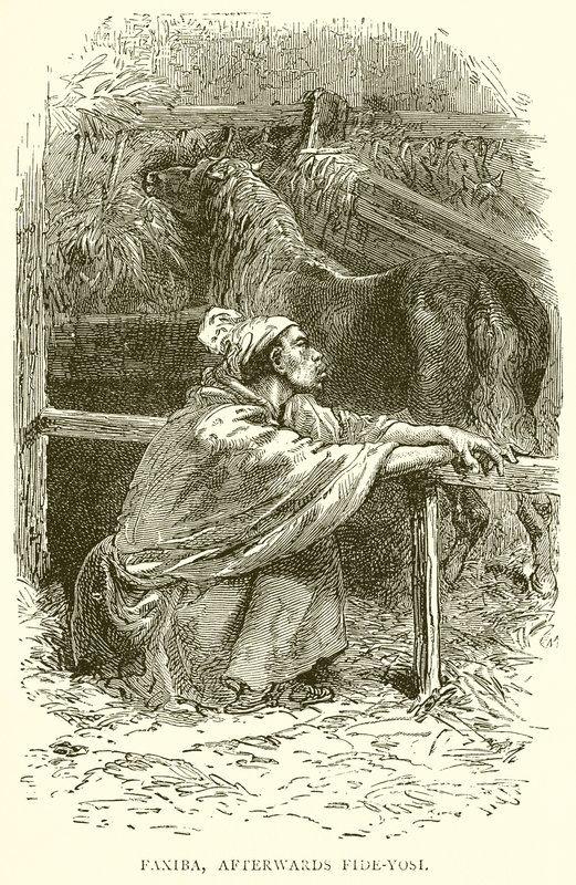 Faxiba, später Fide-Yosi von English School