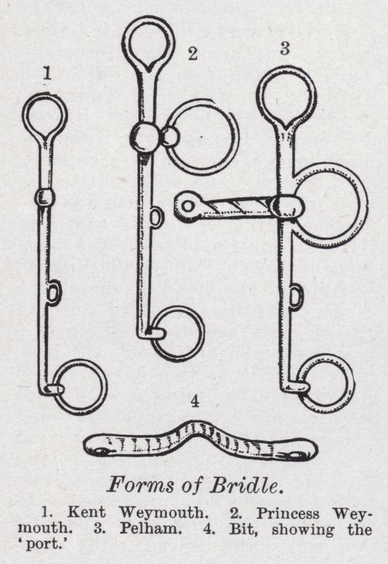 Formen des Zaumzeugs von English School