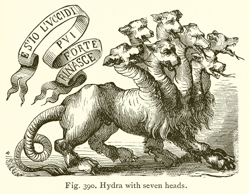 Hydra mit sieben Köpfen von English School