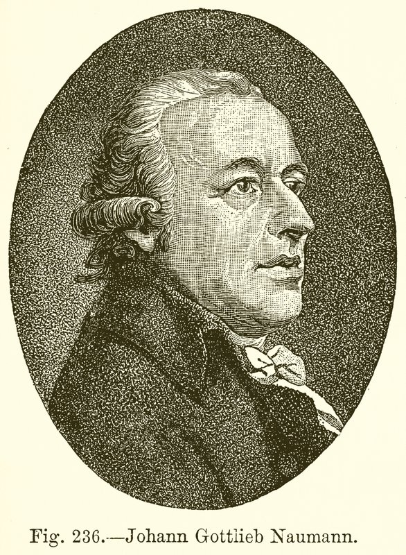 Johann Gottlieb Naumann von English School