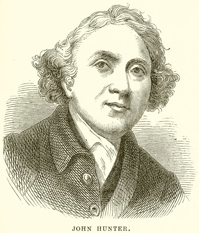 John Hunter von English School