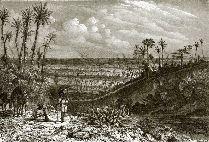 Landschaft auf der Insel Kuba von English School