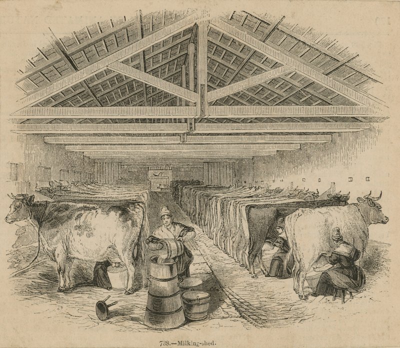 Laycocks Dairy Farm, datiert Juli 1841 von English School