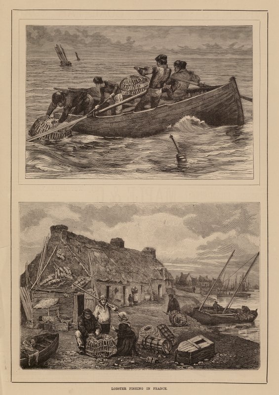 Hummerfischen, Frankreich von English School