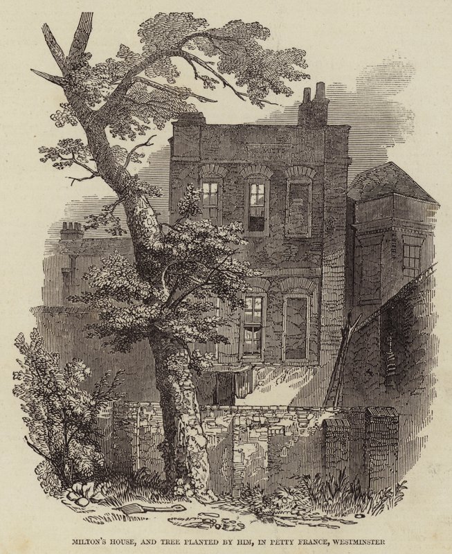 Miltons Haus und von ihm gepflanzter Baum in Petty France, Westminster (Gravur) von English School