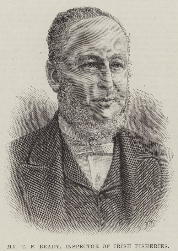 Herr T F Brady, Inspektor der irischen Fischerei (Stich) von English School