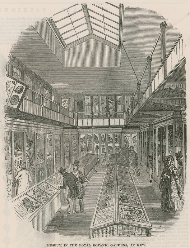 Museum in den Königlichen Botanischen Gärten, in Kew von English School