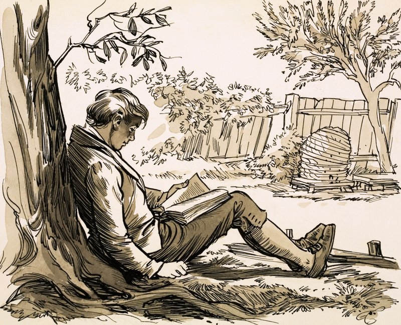 Der Naturforscher David Douglas wurde durch die Lektüre von Robinson Crusoe inspiriert von English School