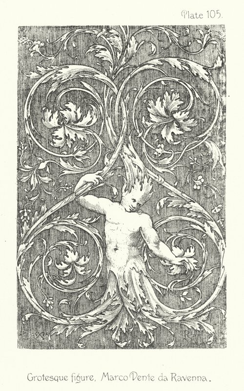 Natur im Ornament: Groteske Figur, Marco Dente da Ravenna von English School