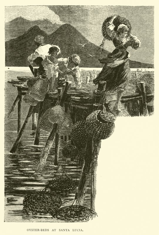 Austernbänke bei Santa Lucia von English School