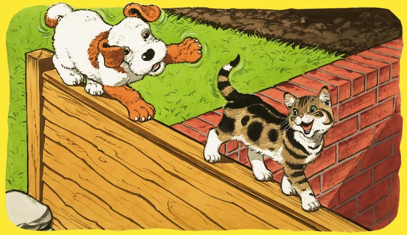 Paddy Paws von English School