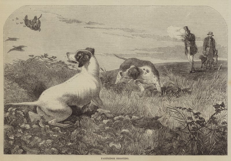 Rebhuhnjagd (Stich) von English School
