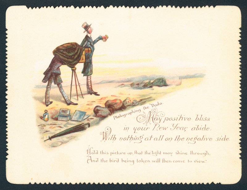 Fotografieren des Dodos von English School