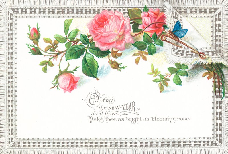 Rosa Rosen und blauer Schmetterling, Neujahrskarte von English School