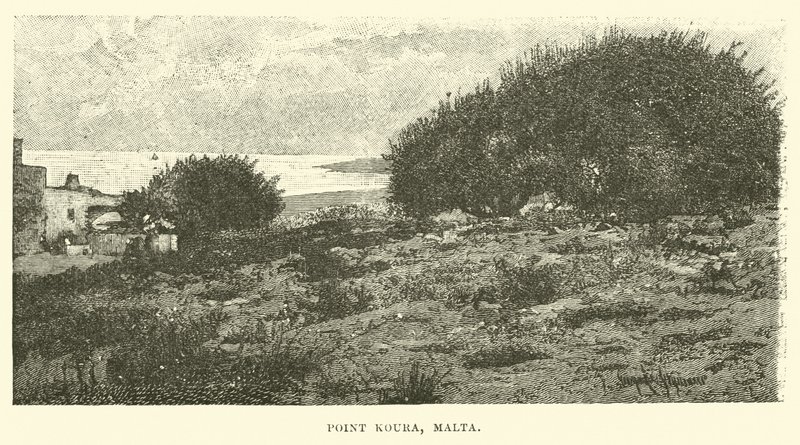 Point Koura, Malta von English School