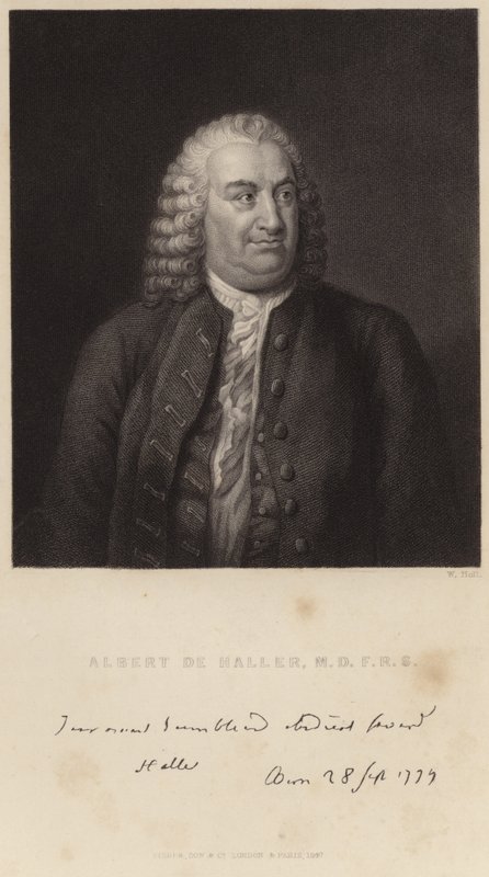 Porträt von Albert de Haller von English School